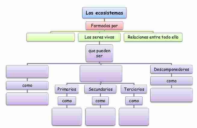 Mapa Conceptual De Ecosistemas Terrestres Simple Mapa Mentos Porn