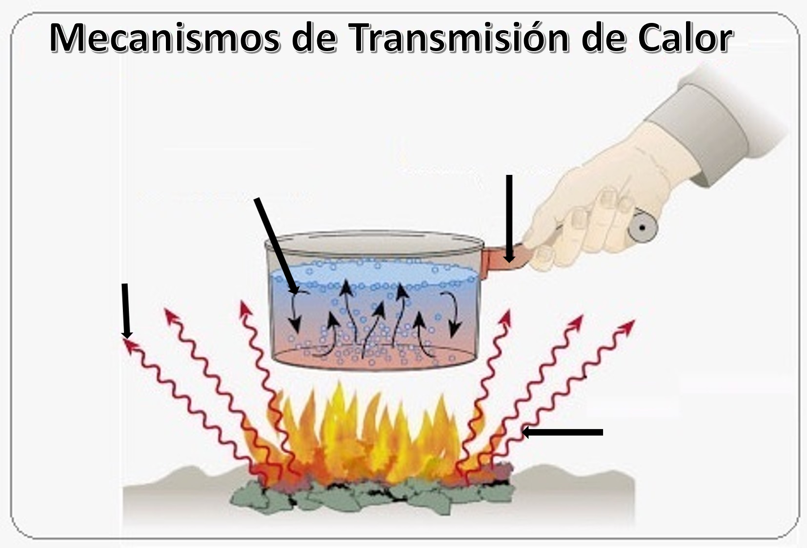 Juegos de Ciencias Juego de Tipos de transferencia de calor (1) Cerebriti