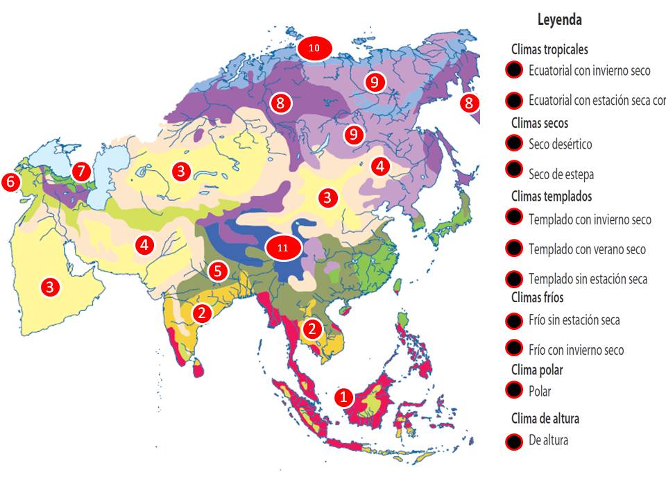 Juegos de Geografía | Juego de Asia vegetación | Cerebriti