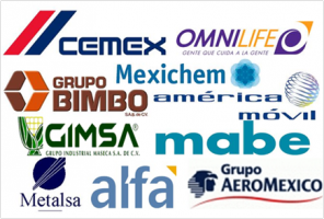 Sociedades mercantiles controladoras Sociedades mercantiles controladoras
