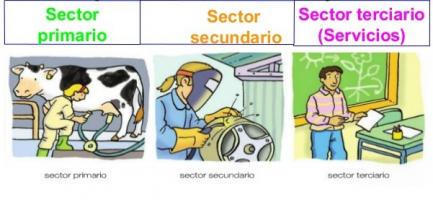 Juegos de Ciencias | Juego de Sectores de la economía | Cerebriti